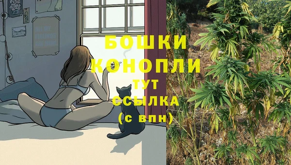 mix Богородск