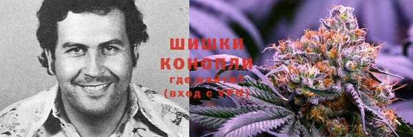 mix Богородск